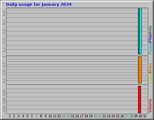 Daily usage for January 2024