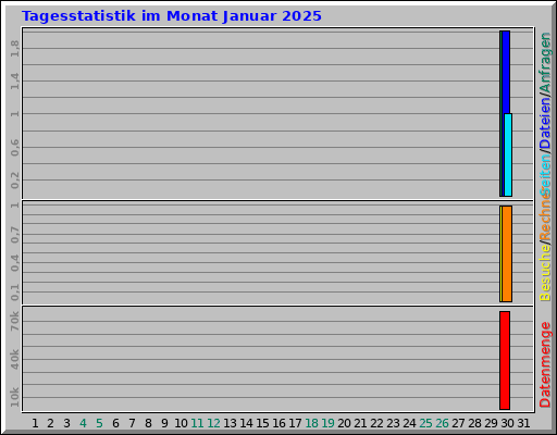 Tagesstatistik im Monat Januar 2025