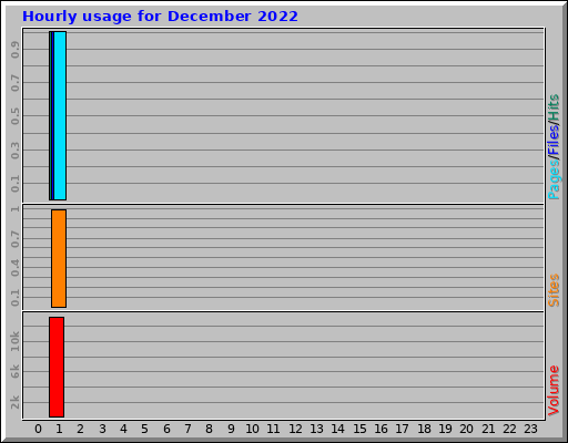 Hourly usage for December 2022