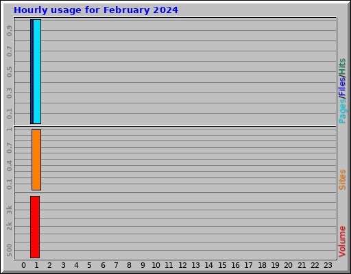 Hourly usage for February 2024