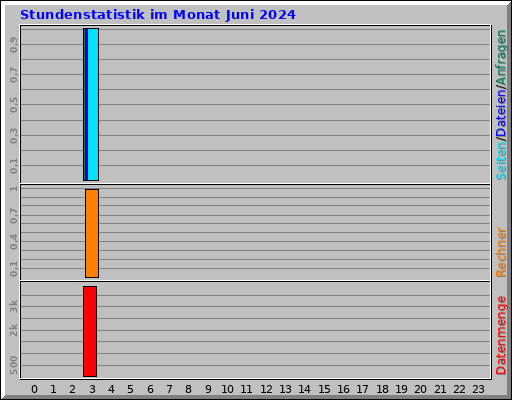 Stundenstatistik im Monat Juni 2024