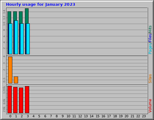 Hourly usage for January 2023