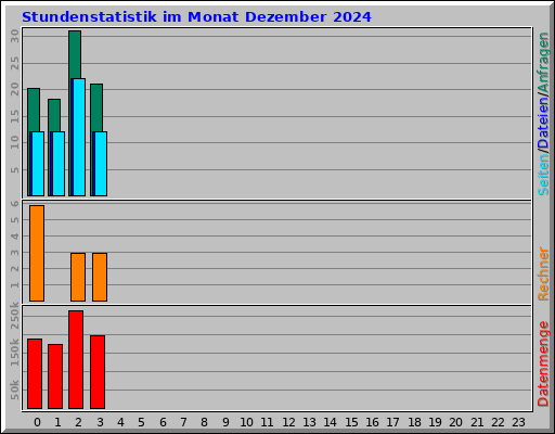 Stundenstatistik im Monat Dezember 2024