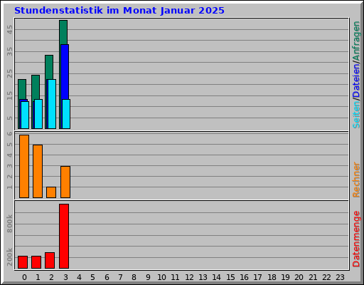 Stundenstatistik im Monat Januar 2025