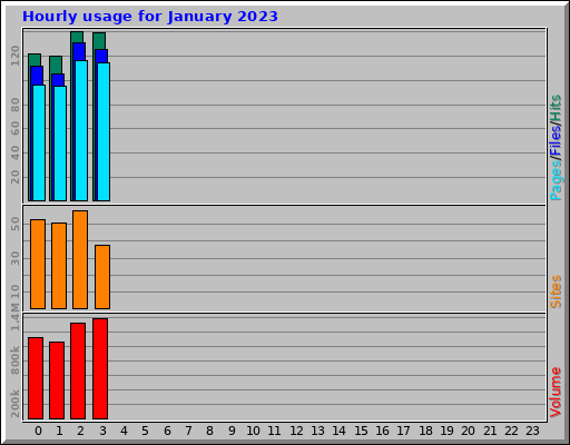 Hourly usage for January 2023